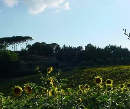 Perugia Sleeps 3 Air Con Apartment Ramazzano - Le Pulci